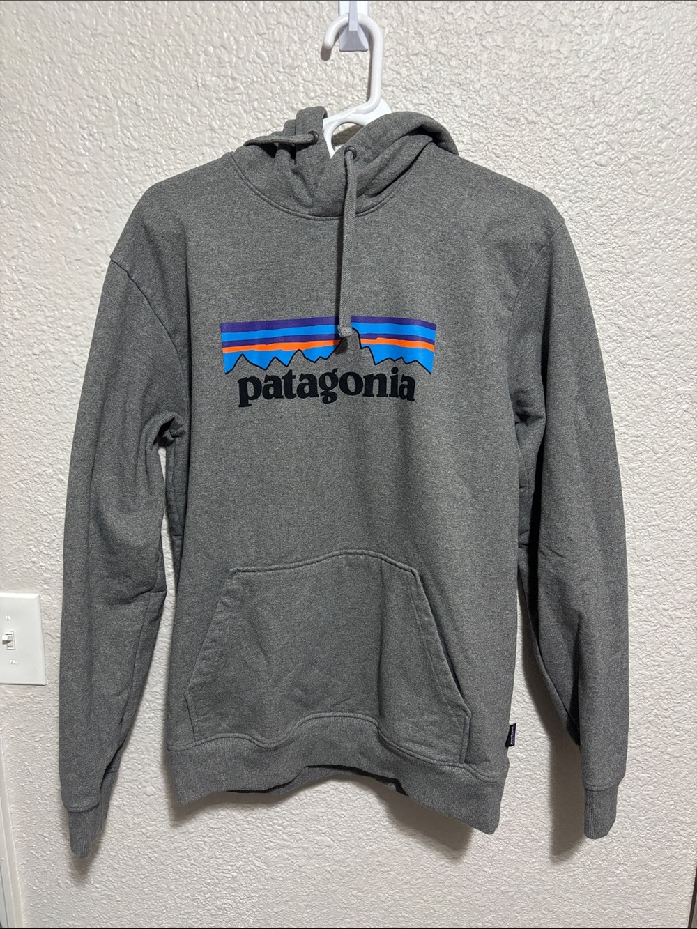 Patagonia Gray Pullover Hoodie with Multicolor Mountain Logo